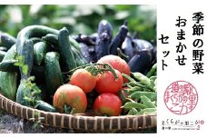 道の駅まくらがの里古河　季節の新鮮野菜おまかせセット ※沖縄・離島への配送不可 _BQ02
