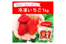 摘みたて！便利な小分け！冷凍いちご1kg(500g×2) | いちご 苺 イチゴ 1キロ 冷凍 フルーツ 小分け おいしい ジャム スムージー かき氷 いばらキッス 紅ほっぺ よつぼし 恋みのり 贈答 贈り物 プレゼント 茨城県 古河市 直送 農家直送 産地直送 送料無料 _BI08