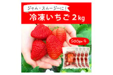 摘みたて！便利な小分け！冷凍いちご2kg(500g×4) | いちご 苺 イチゴ 2キロ 冷凍 フルーツ 小分け おいしい ジャム スムージー かき氷 いばらキッス 紅ほっぺ よつぼし 恋みのり 贈答 贈り物 プレゼント 茨城県 古河市 直送 農家直送 産地直送 送料無料 _BI09
