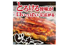 うなぎ蒲焼き&白焼きセット（蒲焼き：１６０ｇ×２・白焼き：１６０ｇ×２） | うなぎ 鰻 ウナギ 640グラム 国産 かば焼き 蒲焼き 蒲焼 白焼き うな重 ひつまぶし たれ 山椒 人気 食べくらべ 食べ比べ セット 詰め合わせ おすすめ 取り寄せ お取り寄せ グルメ 惣菜 ギフト 贈答 贈り物 プレゼント お中元 お歳暮 御歳暮 茨城県 古河市 直送 店舗直送 送料無料 _AT06