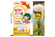 【令和6年産】茨城県産コシヒカリ10kg（5kg×2袋）精米JA茨城むつみ | 米 こめ コメ 10キロ 精米 こしひかり コシヒカリ 茨城県産 贈答 贈り物 プレゼント 茨城県 古河市 JA 農協 直送 産地直送 送料無料 _CL05
