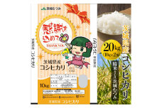 【令和6年産】茨城県産コシヒカリ20kg（10kg×2袋）精米JA茨城むつみ 米 こめ コメ 20キロ 精米 こしひかり コシヒカリ 茨城県産 贈答 贈り物 プレゼント 茨城県 古河市 JA 農協 直送 産地直送 送料無料 _CL06