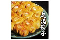 焼餃子三昧セット（Ａ） ※着日指定不可｜餃子 焼餃子 ぎょうざ ギョウザ マルマン 丸満餃子 名物グルメ ソウルフード ギフト 贈答 贈り物 プレゼント お中元 お歳暮 茨城県 古河市 送料無料 _CO01