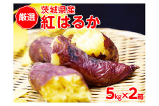 【厳選】茨城県産　紅はるか　10kg（5kg×2箱） ※離島への配送不可 ※着日指定不可 | さつまいも 薩摩芋 サツマイモ 10キロ 紅はるか 野菜 おやつ スイーツ 国産 ギフト 贈答 贈り物 プレゼント 茨城県 古河市 直送 農家直送 産地直送 送料無料 _CM01