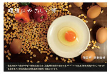 【期間限定】関匠卵　環境にやさしい卵　30個　※北海道・沖縄・離島への配送不可 | 卵 30個 赤玉 玉子 たまご タマゴ 生卵 鶏卵 生みたて 産みたて 新鮮 濃厚 健康 環境 TKG たまごかけごはん ご飯のお供 国産 ギフト 贈答 贈り物 お中元 お歳暮 プレゼント 茨城県 古河市 直送 農家直送 産地直送 _CP05