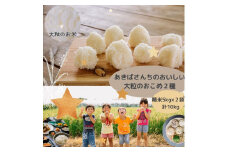 令和4年産　あきばさんちのおいしい大粒のおこめ２種（精米5kg×２袋）計10kg_CR01