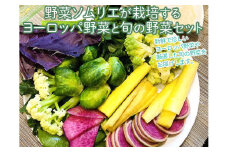 野菜ソムリエが栽培するヨーロッパ野菜と旬の野菜セット ※着日指定不可 ※沖縄・離島への配送不可 | 野菜 詰合せ 詰め合わせ セット アソート 野菜ソムリエ こだわり ヨーロッパ野菜 新鮮 人気 ギフト 贈答 贈り物 プレゼント お中元 お歳暮 茨城県 古河市 直送 農家直送 産地直送 送料無料 ※2023年4月中旬～12月下旬頃に順次発送予定 _CT01