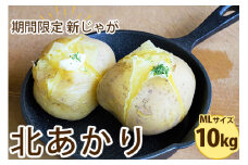 期間限定新じゃが　北あかり　MLサイズ混合10kg ※着日指定不可 | じゃがいも ジャガイモ 芋 10キロ 野菜 国産 ギフト 贈答 贈り物 プレゼント 茨城県 古河市 直送 農家直送 産地直送 送料無料 _CM03