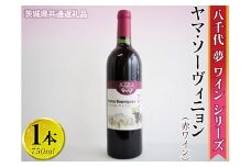八千代夢ワインシリーズ　ヤマ・ソーヴィニョン（赤ワイン）1本【茨城県共通返礼品・八千代町】 ※着日指定不可 ※沖縄県への配送不可｜お酒 洋酒 瓶 750ml ワイン 赤ワイン 酒 洋酒 ギフト 贈答 贈り物 プレゼント ご褒美 記念品 お祝 茨城県 古河市 _CY02