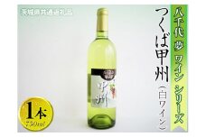 八千代夢ワインシリーズ　つくば甲州（白ワイン）1本【茨城県共通返礼品・八千代町】 ※着日指定不可 ※沖縄県への配送不可｜お酒 洋酒 瓶 750ml ワイン 白ワイン 酒 洋酒 ギフト 贈答 贈り物 プレゼント ご褒美 記念品 お祝 茨城県 古河市_CY04