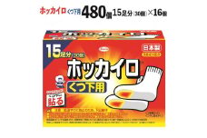 ホッカイロ くつ下用 15足分（30個）×16個（計480個） ※離島への配送不可 | カイロ 480枚 靴下用 貼る 大容量 使い捨て 防寒 寒さ対策 冷房冷え 冷え対策 スポーツ観戦 防災 通勤 通学 足 ご家庭用 ギフト 贈答 贈り物 プレゼント お中元 お歳暮 茨城県 古河市 _DJ06