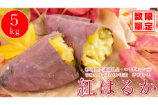 オーガニックさつまいも(紅はるか）5kg【農薬・肥料不使用】土つき〈茨城県共通返礼品・つくばみらい市〉※2023年9月上旬～2024年2月下旬頃に順次発送予定 | さつまいも サツマイモ 芋 いも イモ 野菜 やさい 健康 ヘルシー 食物繊維 生いも 農家直送 直送 茨城県 古河市 _DM01