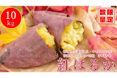 オーガニックさつまいも(紅はるか）10kg【農薬・肥料不使用】土つき〈茨城県共通返礼品・つくばみらい市〉※2023年9月上旬～2024年2月下旬頃に順次発送予定 | さつまいも サツマイモ 芋 いも イモ 野菜 やさい 健康 ヘルシー 食物繊維 生いも 農家直送 直送 茨城県 古河市_DM02