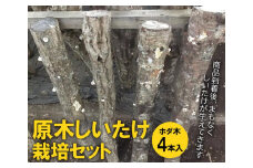 原木しいたけ栽培セット・ホダ木4本入り ※離島への配送不可 | しいたけ シイタケ 椎茸 栽培キット 木 栽培 実験 観察 夏休み 宿題 冬休み 春休み 収穫 簡単 おいしい 便利 手軽 自由研究 _DR05