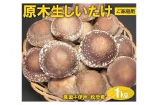 原木生しいたけ 1kg 厚肉品 ご家庭用 贈答用 農薬不使用 脱炭素 ※離島への配送不可 _DR03