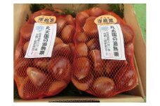 【数量・期間限定】低温熟成 追熟がんね栗 1.8Kg 古河市産和栗 ※離島への配送不可  ※2024年10月中旬頃より順次発送予定 | 栗 1.8キロ くり マロン 果物 木の実 きのみ おやつ スイーツ 国産 茨城県産 取り寄せ お取り寄せ 贈答 贈り物 プレゼント ギフト 期間限定 数量限定 茨城県 古河市 直送 農家直送 産地直送 送料無料 _BF16