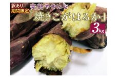 訳あり 期間限定 完熟やきいも「焼きこがはるか」(3kg) ※着日指定不可 ※離島への配送不可 | 焼き芋 さつまいも 3キロ 紅はるか 冷凍 おやつ スイーツ 国産 ギフト 贈答 贈り物 プレゼント 茨城県 古河市 直送 農家直送 産地直送 送料無料_CM04