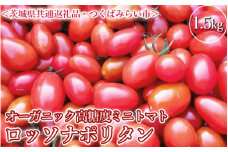 オーガニック高糖度ミニトマト「ロッソナポリタン」【農薬・肥料不使用】＜茨城県共通返礼品・つくばみらい市＞ ※2023年6月上旬～8月下旬頃に順次発送予定 _DM03