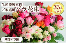 訳あり　生産農家直送！ご家庭用バラ花束35本セット 簡易包装 ※沖縄・離島への配送不可 _AL02