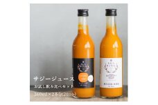  サジージュース 100%とゆず 飲み比べ2本セット【2種類の味】360ml×各1本セット（計2本） | サジー シーベリー 沙棘 グアマラル 健康ドリンク 健康 美容 栄養 果汁 鉄分補給 栄養補給 健康食品 ギフト 贈答 プレゼント ご褒美 お祝 記念品 _DX01