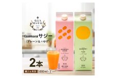  サジージュース 100%と+ゆず 1000ml×各1本セット（計2本） | サジー シーベリー 沙棘 グアマラル 健康ドリンク 健康 美容 栄養 果汁 鉄分補給 栄養補給 健康食品 ギフト 贈答 プレゼント ご褒美 お祝 記念品 _DX06