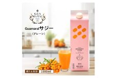  サジージュース 100% 1000ml×1本 | サジー シーベリー 沙棘 グアマラル 健康ドリンク 健康 美容 栄養 果汁 鉄分補給 栄養補給 健康食品  | サジー シーベリー 沙棘 グアマラル 健康ドリンク 健康 美容 栄養 果汁 鉄分補給 栄養補給 健康食品 ギフト 贈答 プレゼント ご褒美 お祝 記念品 _DX02