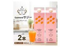  サジージュース 100% 1000ml×2本セット | サジー シーベリー 沙棘 グアマラル 健康ドリンク 健康 美容 栄養 果汁 鉄分補給 栄養補給 健康食品 ギフト 贈答 プレゼント ご褒美 お祝 記念品 _DX04