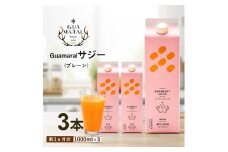  サジージュース 100% 1000ml×3本セット | サジー シーベリー 沙棘 グアマラル 健康ドリンク 健康 美容 栄養 果汁 鉄分補給 栄養補給 健康食品 ギフト 贈答 プレゼント ご褒美 お祝 記念品 _DX07