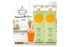  サジージュース+ゆず 1000ml×2本セット | サジー シーベリー 沙棘 グアマラル 健康ドリンク 健康 美容 栄養 果汁 鉄分補給 栄養補給 健康食品 ギフト 贈答 プレゼント ご褒美 お祝 記念品 _DX05