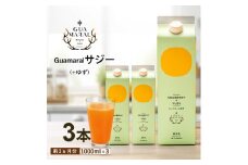  サジージュース+ゆず 1000ml×3本セット | サジー シーベリー 沙棘 グアマラル 健康ドリンク 健康 美容 栄養 果汁 鉄分補給 栄養補給 健康食品 ギフト 贈答 プレゼント ご褒美 お祝 記念品 _DX08