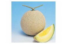 アールス系メロン”雅”(みやび) 1玉 | メロン めろん 果物 フルーツ 旬 坂東太郎 あまい 甘い 人気 取り寄せ お取り寄せ ギフト 贈答 贈り物 プレゼント お中元 お歳暮 直送 工場直送 茨城県 古河市 送料無料 ※2025年7月上旬頃より順次発送予定 ※北海道・沖縄・離島への配送不可 _CB04