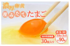 【定期便（３カ月）】小久保ファーム　濃厚卵黄　産みたてたまご　赤玉30個入り（M玉） ※着日指定不可 | 卵 定期便 30個 赤玉 玉子 たまご タマゴ 生卵 鶏卵 生みたて 産みたて 新鮮 濃厚 健康 TKG たまごかけごはん ご飯のお供 国産 ギフト 贈答 贈り物 お中元 お歳暮 プレゼント 茨城県 古河市 直送 農家直送 産地直送 送料無料 _EI04