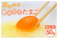 小久保ファーム　濃厚卵黄　産みたてたまご　赤玉50個入り（M玉）|  卵 50個 赤玉 玉子 たまご タマゴ 生卵 鶏卵 生みたて 産みたて 新鮮 濃厚 健康 TKG たまごかけごはん ご飯のお供 国産 ギフト 贈答 贈り物 お中元 お歳暮 プレゼント 茨城県 古河市 直送 農家直送 産地直送 送料無料 _EI02