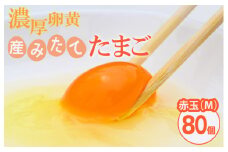 小久保ファーム　濃厚卵黄　産みたてたまご　赤玉80個入り（M玉）|  卵 80個 赤玉 玉子 たまご タマゴ 生卵 鶏卵 生みたて 産みたて 新鮮 濃厚 健康 TKG たまごかけごはん ご飯のお供 国産 ギフト 贈答 贈り物 お中元 お歳暮 プレゼント 茨城県 古河市 直送 農家直送 産地直送 送料無料 _EI03