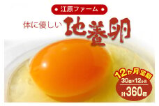【定期便12か月】江原ファーム　体に優しい地養卵（30個） | 卵 定期便 30個 玉子 たまご タマゴ 生卵 鶏卵 生みたて 産みたて 地養卵 新鮮 濃厚 健康 TKG たまごかけごはん ご飯のお供 国産 ギフト 贈答 贈り物 お中元 お歳暮 プレゼント 茨城県 古河市 直送 農家直送 産地直送 _AG15