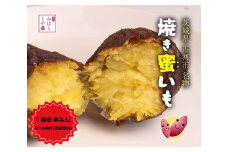 【スイーツのような甘さ】焼き蜜いも（1箱6本入り） | スイーツ 芋 いも イモ やきいも さつまいも サツマイモ おやつ お菓子 菓子 健康 食物繊維 野菜 やさい 甘い ねっとり しっとり 冷凍 紅和み 長期保存 蜜 茨城県産 茨城県 古河市 温め 冷やし 着日指定可 _DP12