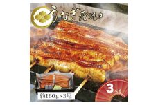 【熨斗なし】うなぎ蒲焼3人前（1人前約160g×3）贈答用パッケージ｜お取り寄せ グルメ 国産 鰻 お歳暮 御歳暮_AT03