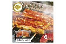 【熨斗なし】うなぎ蒲焼6人前（1人前約160g×6）贈答用パッケージ｜お取り寄せ グルメ 国産 鰻 お歳暮 御歳暮_AT12
