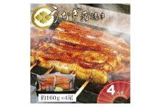 【熨斗なし】うなぎ蒲焼4人前（1人前約160g×4）贈答用パッケージ｜お取り寄せ グルメ 国産 鰻 お歳暮 御歳暮 _AT21