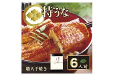 【熨斗あり】うなぎ蒲焼6人前（1人前約100g×6）贈答用パッケージ｜お取り寄せ グルメ 国産 鰻 お歳暮 御歳暮 _AT20