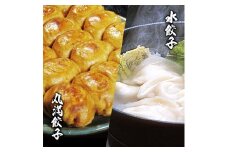 餃子づくしセット（MS＋）焼餃子7包み（14人前）・水餃子7包み（14人前） ※着日指定不可｜ 餃子 焼餃子 水餃子 ぎょうざ ギョウザ マルマン 丸満餃子 名物グルメ ソウルフード ギフト 贈答 贈り物 プレゼント お中元 お歳暮 茨城県 古河市 送料無料 _CO21