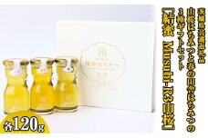 【数量限定】山桜はちみつと春の田舎はちみつの3種ギフトセット[結蜜 Musubi-R3山桜] 【茨城県共通返礼品／五霞町】 ※着日指定不可 | 生ハチミツ 非加熱 茨城県産 はちみつ ハチミツ 蜂蜜 国産 純粋 食べくらべ 食べ比べ セット 詰め合わせ   おすすめ ミツバチ 蜜蜂 みつばち 茨城県産 贈答 贈り物 プレゼント 茨城県 古河市 送料無料  _EY01