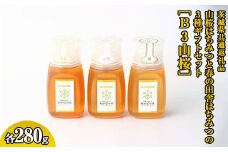 【数量限定】山桜はちみつと春の田舎はちみつの3種ギフトセット[B3山桜] 【茨城県共通返礼品／五霞町】 ※着日指定不可 | 生ハチミツ 非加熱 茨城県産 はちみつ ハチミツ 蜂蜜 国産 純粋 食べくらべ 食べ比べ セット 詰め合わせ   おすすめ ミツバチ 蜜蜂 みつばち 茨城県産 贈答 贈り物 プレゼント 茨城県 古河市 送料無料 _EY02