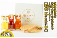 季節で移ろう田舎はちみつ3種ギフトセット[結蜜 Musubi-R3] 【茨城県共通返礼品／五霞町】 ※着日指定不可 | 生ハチミツ 非加熱 茨城県産 はちみつ ハチミツ 蜂蜜 国産 純粋 食べくらべ 食べ比べ セット 詰め合わせ   おすすめ ミツバチ 蜜蜂 みつばち 茨城県産 贈答 贈り物 プレゼント 茨城県 古河市 送料無料 _EY03