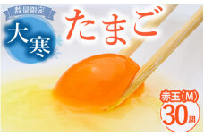 【先行予約】数量限定！大寒卵　赤玉30個入り（M玉）小久保ファーム  ※2025年1月下旬頃より順次発送予定  | 卵 30個 大寒 期間限定 数量限定 玉子 たまご タマゴ 赤玉 生卵 鶏卵 生みたて 産みたて 新鮮 濃厚 健康 TKG たまごかけごはん ご飯のお供 国産 ギフト 贈答 贈り物 お中元 お歳暮 プレゼント 茨城県 古河市 直送 農家直送 産地直送 送料無料 _EI05