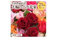 生産農家直送！大輪のバラ花束　25本セット ※沖縄・離島への配送不可 _AL05