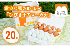 関匠卵 ひびき+アローカナハーフセット（計20個） ※北海道・沖縄・離島への配送不可 | 卵 20個 食べ比べ 玉子 たまご タマゴ 生卵 鶏卵 生みたて 産みたて アローカナ 赤玉 食べくらべ セット 新鮮 濃厚 健康 青い卵 TKG たまごかけごはん ご飯のお供 国産 ギフト 贈答 贈り物 お中元 お歳暮 プレゼント 茨城県 古河市 直送 農家直送 産地直送 送料無料 _CP06