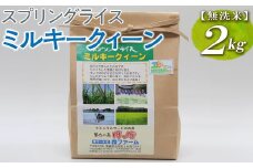 スプリングライス ミルキークィーン (無洗米)2kg ※着日指定不可 | 米 こめ コメ 2キロ 無洗米 白米 ミルキークイーン みるきーくいーん 古河市産 茨城県産 取り寄せ お取り寄せ ギフト 贈答 贈り物 プレゼント お中元 お歳暮 茨城県 古河市 直送 農家直送 産地直送 送料無料 _BI35