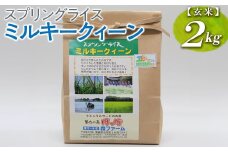 スプリングライス ミルキークィーン (玄米)2kg ※着日指定不可 | 米 こめ コメ 2キロ 玄米 ミルキークイーン みるきーくいーん 古河市産 茨城県産 取り寄せ お取り寄せ ギフト 贈答 贈り物 プレゼント お中元 お歳暮 茨城県 古河市 直送 農家直送 産地直送 送料無料 _BI61
