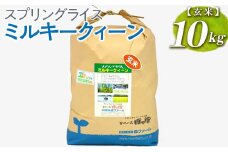 スプリングライス ミルキークィーン (玄米)10kg ※着日指定不可 | 米 こめ コメ 10キロ 玄米 ミルキークイーン みるきーくいーん 古河市産 茨城県産 取り寄せ お取り寄せ ギフト 贈答 贈り物 プレゼント お中元 お歳暮 茨城県 古河市 直送 農家直送 産地直送 送料無料 _BI63